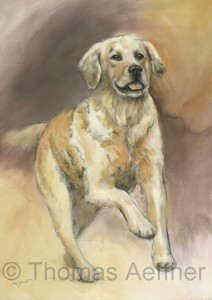 Hundeposter - Kunstdruck Motiv Golden Retriver