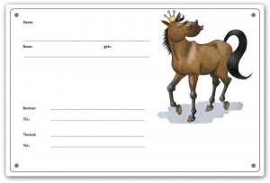 Comic Schilder - Boxenschild Pferdeprinzessin - Diva - Braun