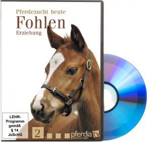 DVD Pferdezucht heute 2 - Fohlen: Erziehung
