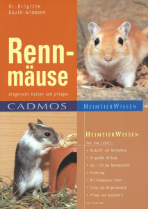 Rennmäuse artgerecht halten und pflegen