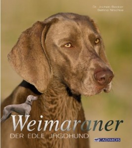 Weimaraner - Der edle Jagdhund