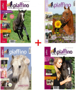 Piaffino Bundle I mit 4 Ausgaben des Reit- und Jugendmagazins