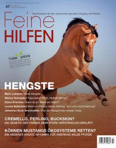 Feine Hilfen Bookazin Ausgabe 47 - Hengste