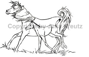 Auto Aufkleber Araberstute mit Fohlen links schwarz Großformat