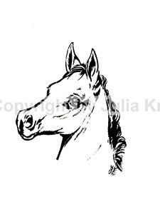 Auto Aufkleber Araberkopf Fohlen links Mittelformat silber