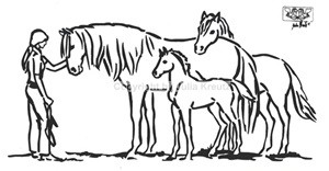 Auto Aufkleber Horsewoman silber
