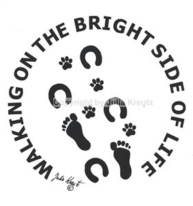 Auto Aufkleber Walking on the Bright Side of Life silber