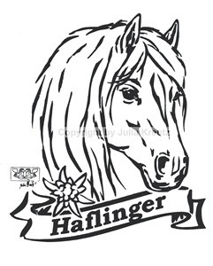 Auto Aufkleber Haflinger Bordüre silber