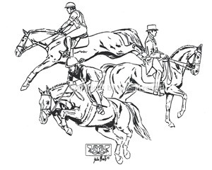 Auto Aufkleber Reitsport schwarz Großformat