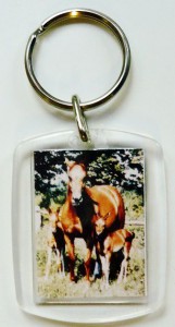 Plexiglas Schlüsselanhänger mit Pferdemotiv 015