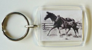Plexiglas Schlüsselanhänger mit Pferdemotiv 03