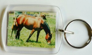 Plexiglas Schlüsselanhänger mit Pferdemotiv 08