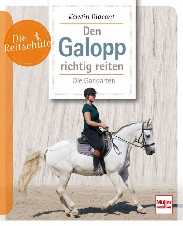 Den Galopp richtig reiten Die Gangarten