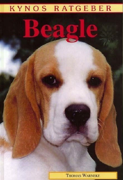 Thomas Warneke - Beagle