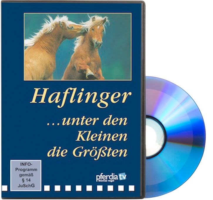 DVD Haflinger...... unter den Kleinen die Größten