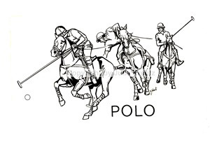 Auto Aufkleber Polo Großformat Silber