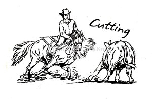 Auto Aufkleber Cutting-  silber Großformat