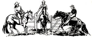 Auto Aufkleber 3er Westernreiten -  silber Mittelformat