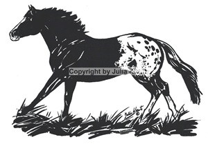 Auto Aufkleber Appaloosa galoppierend schwarz Großformat links