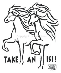 Auto Aufkleber Isländer TAKE AN ISI silber