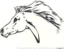 Auto Aufkleber Araberkopf links schwarz Großformat