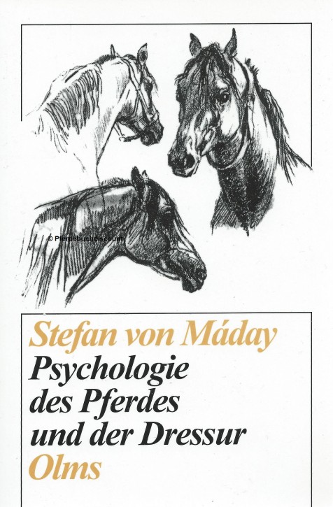 Psychologie des Pferdes und der Dressur