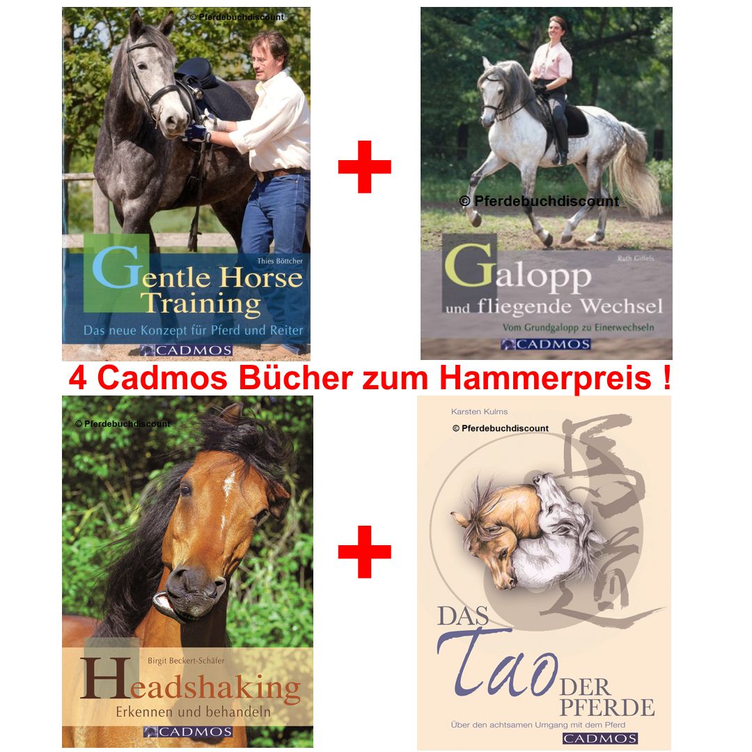 Cadmos Thies Böttcher Gentle Horse Training Das Konzept für Pferd und Reiter 