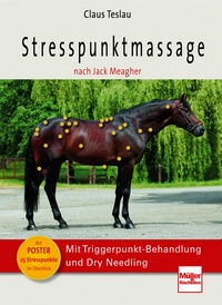 Stresspunktmassage nach Jack Meagher - Mit Stresspunkte-Poster